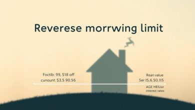 how-much-can-you-borrow-with-a-reverse-mortgage?